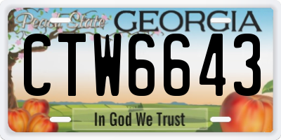 GA license plate CTW6643