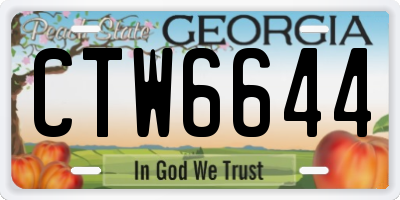 GA license plate CTW6644