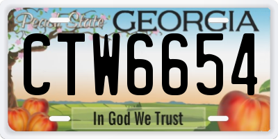 GA license plate CTW6654