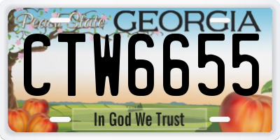 GA license plate CTW6655