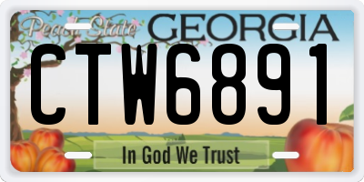 GA license plate CTW6891