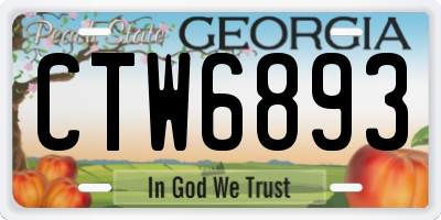 GA license plate CTW6893
