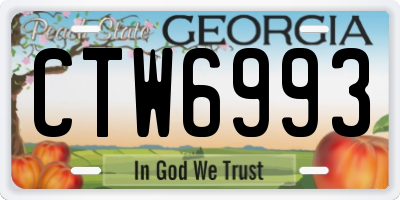 GA license plate CTW6993