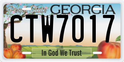 GA license plate CTW7017
