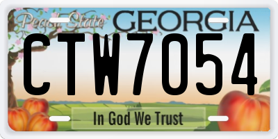 GA license plate CTW7054