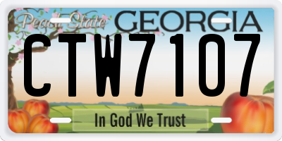 GA license plate CTW7107