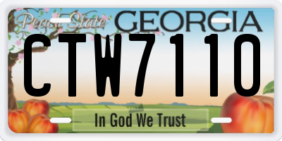 GA license plate CTW7110