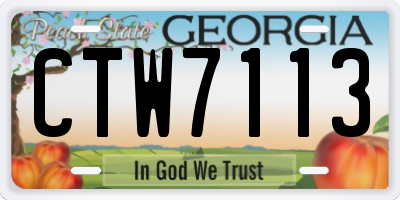 GA license plate CTW7113