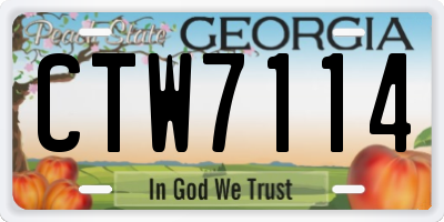 GA license plate CTW7114