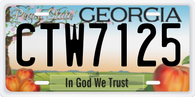 GA license plate CTW7125