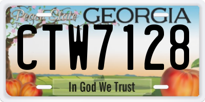 GA license plate CTW7128