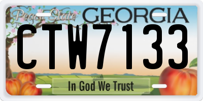 GA license plate CTW7133