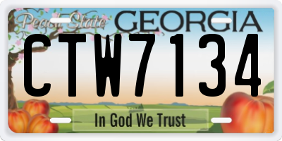 GA license plate CTW7134