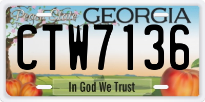 GA license plate CTW7136