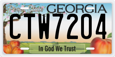 GA license plate CTW7204