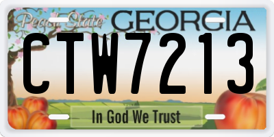 GA license plate CTW7213