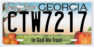 GA license plate CTW7217