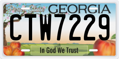 GA license plate CTW7229