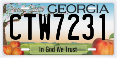 GA license plate CTW7231