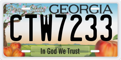 GA license plate CTW7233