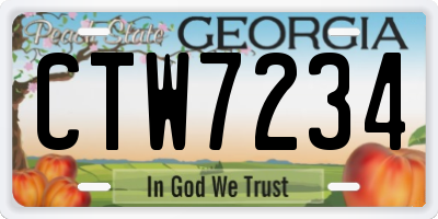 GA license plate CTW7234