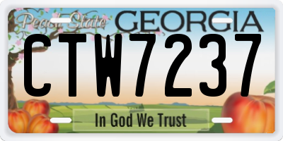 GA license plate CTW7237
