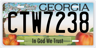 GA license plate CTW7238