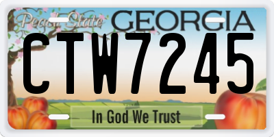 GA license plate CTW7245