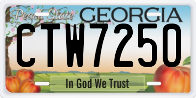 GA license plate CTW7250
