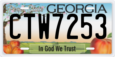 GA license plate CTW7253