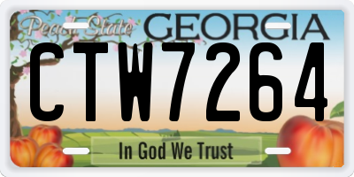 GA license plate CTW7264