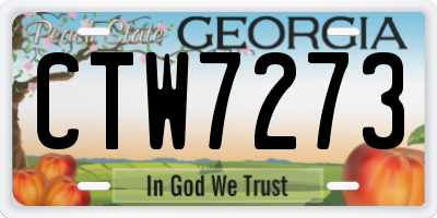 GA license plate CTW7273