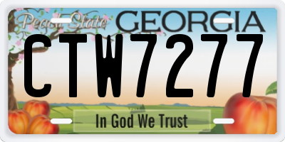 GA license plate CTW7277