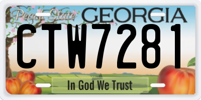 GA license plate CTW7281