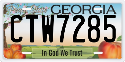 GA license plate CTW7285