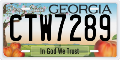 GA license plate CTW7289
