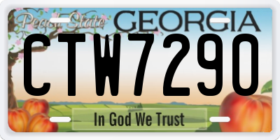 GA license plate CTW7290