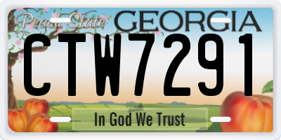 GA license plate CTW7291