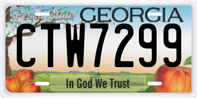 GA license plate CTW7299