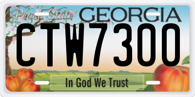 GA license plate CTW7300