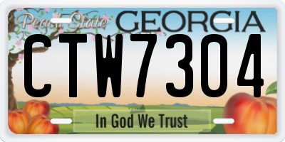 GA license plate CTW7304