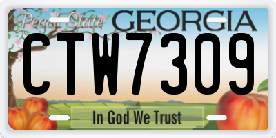 GA license plate CTW7309