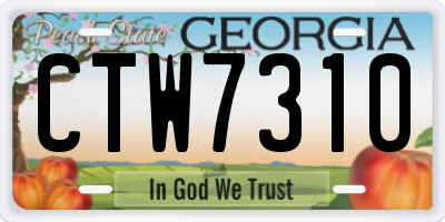 GA license plate CTW7310