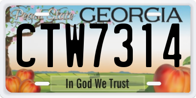 GA license plate CTW7314