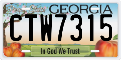 GA license plate CTW7315