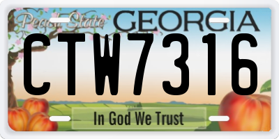 GA license plate CTW7316