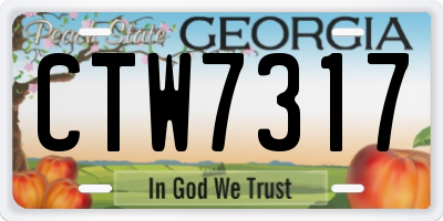 GA license plate CTW7317