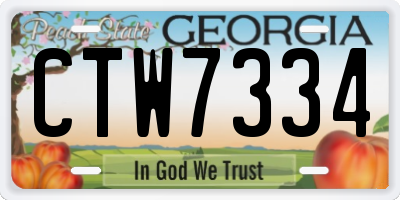 GA license plate CTW7334