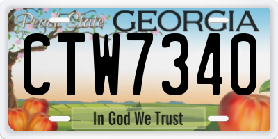 GA license plate CTW7340