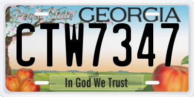 GA license plate CTW7347